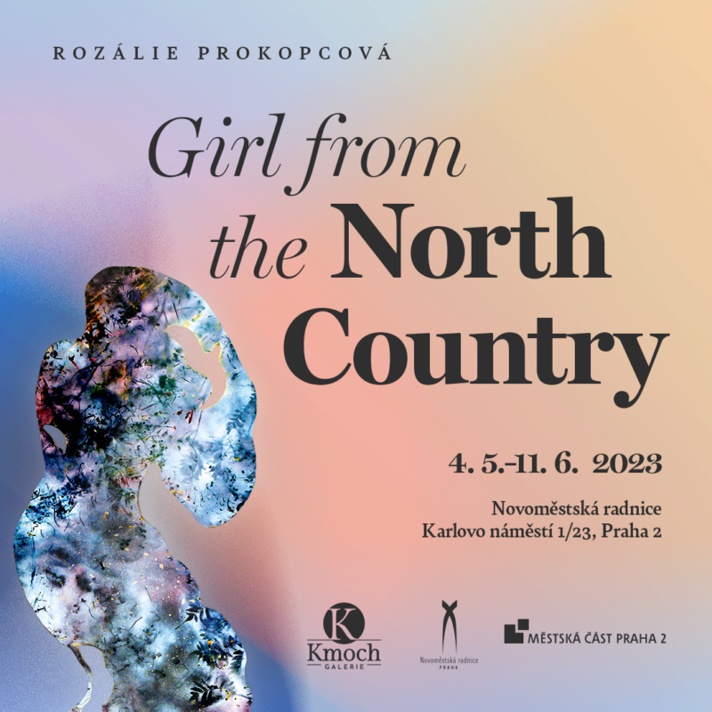 Rozálie Prokopcová - Girl from the North Country