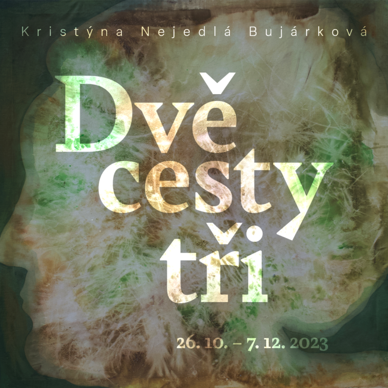 Kristýna Nejedlá Bujárková - Dvě cesty tři